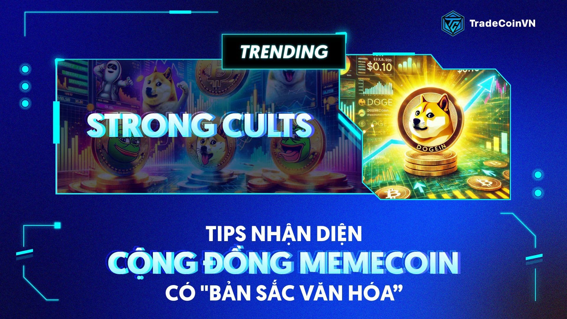 Các tips nhận dạng một cộng đồng memecoin có "bản sắc văn hoá" mạnh (strong cults)