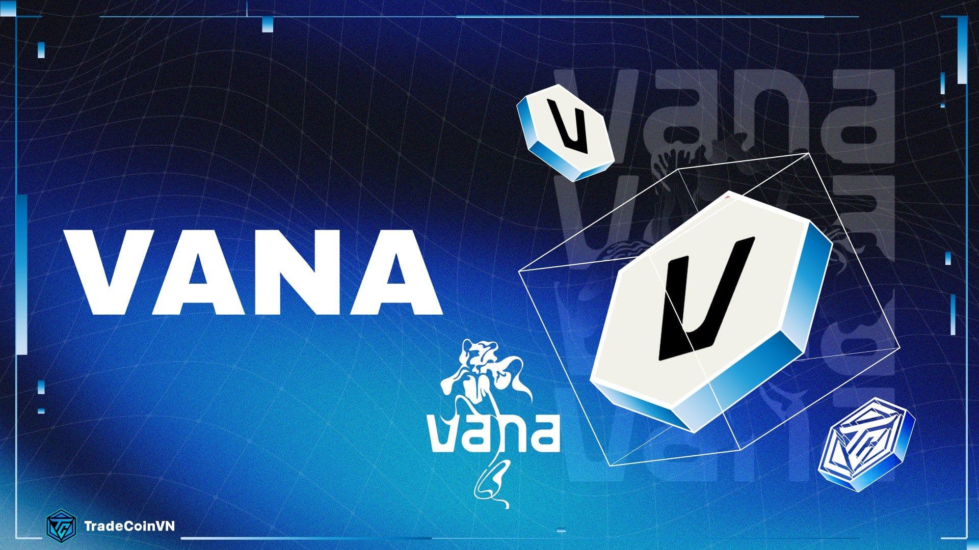 Vana (VANA) là gì? Nền tảng data dành cho AI được Coinbase & Paradigm đầu tư