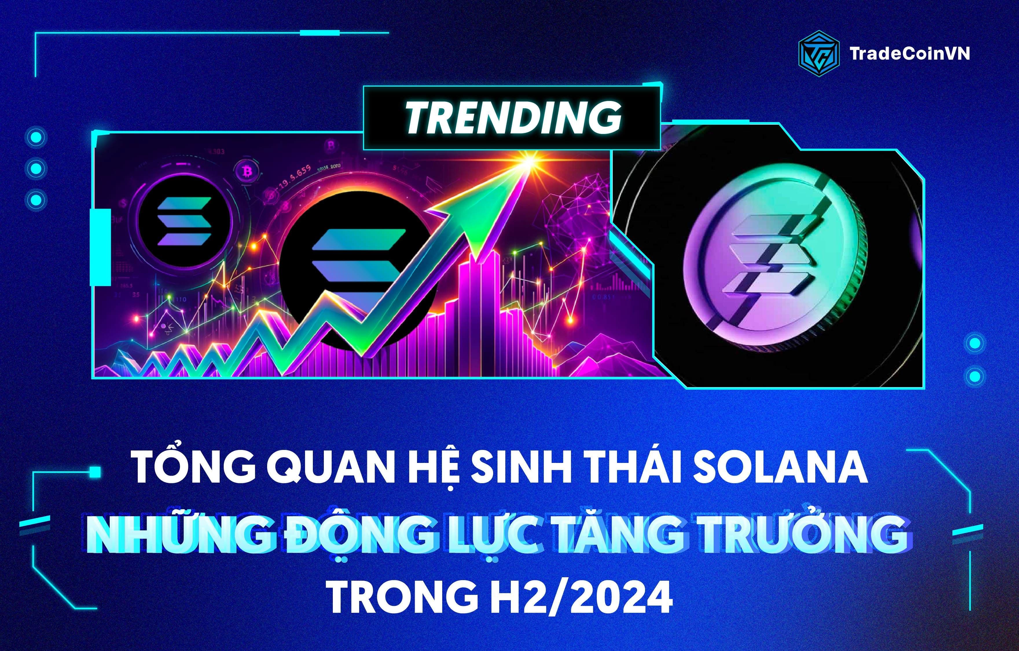 Tổng quan hệ sinh thái Solana: Những động lực tăng trưởng trong H2/2024