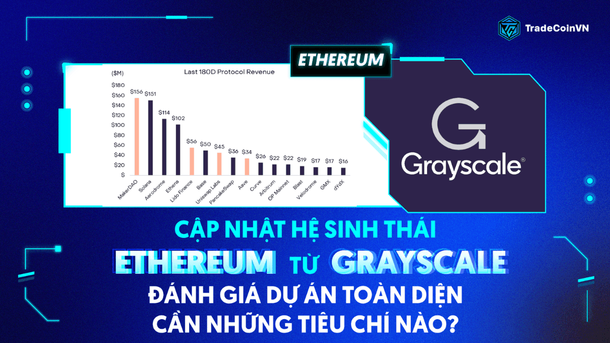 Cập nhật hệ sinh thái Ethereum từ Grayscale, đánh giá toàn diện cần những tiêu chí nào?