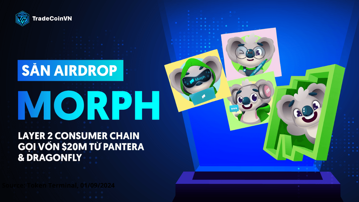 Săn Airdrop: Morph - Layer 2 Consumer Chain gọi vốn $20m từ Pantera & Dragonfly