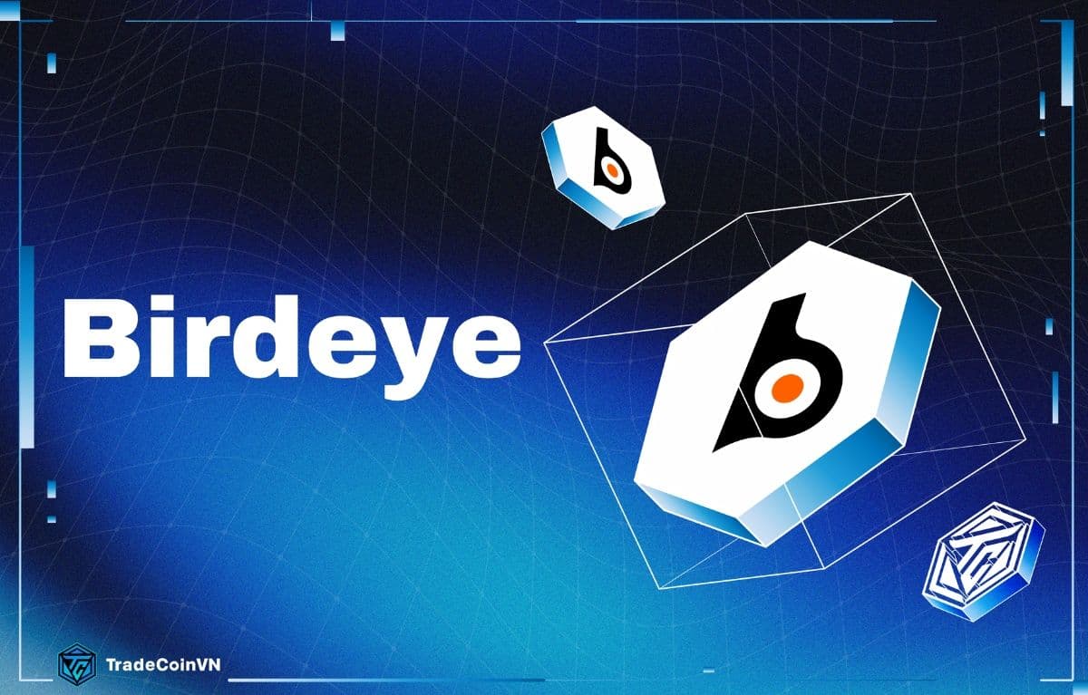 Birdeye là gì? Tool tổng hợp data on-chain giúp nâng cao hiệu quả giao dịch DeFi