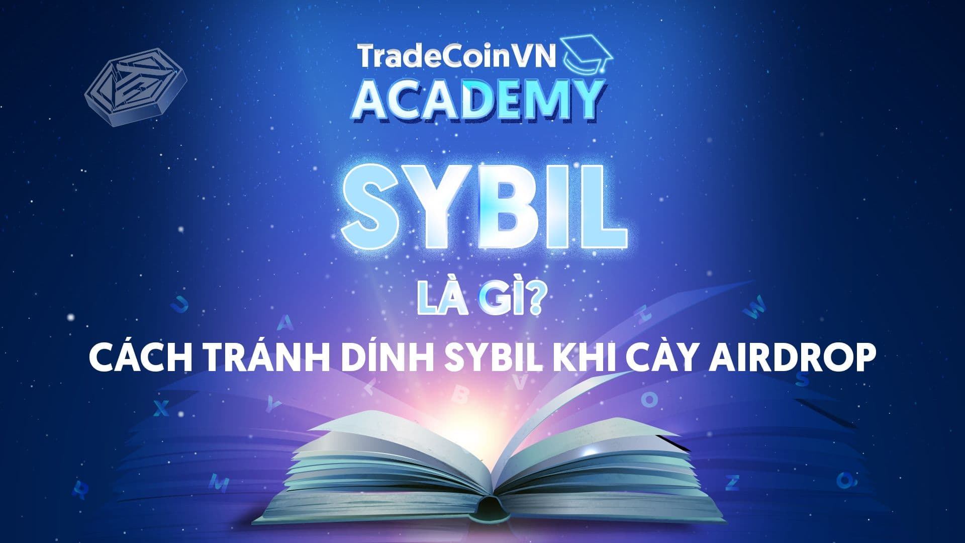 Sybil là gì? Cách tránh dính sybil khi cày airdrop