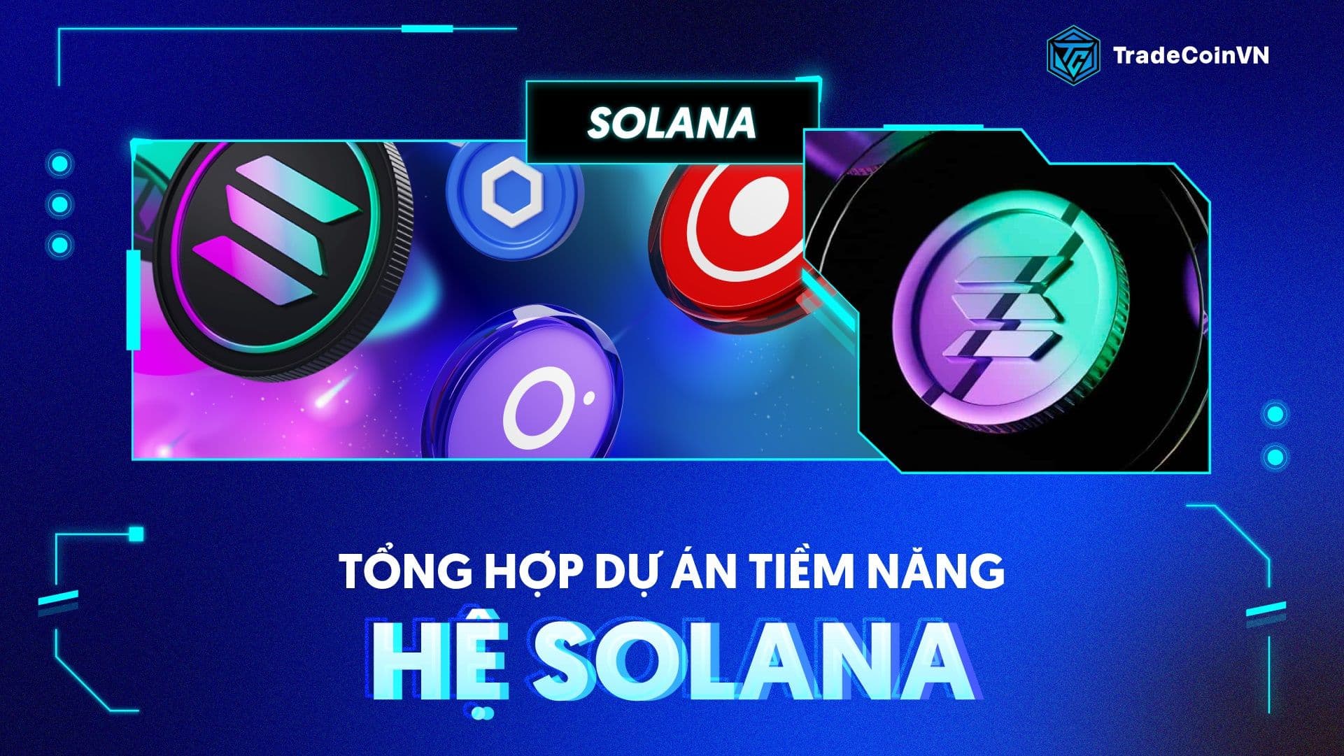 Tổng hợp dự án hệ Solana tiềm năng trong năm 2024-2025