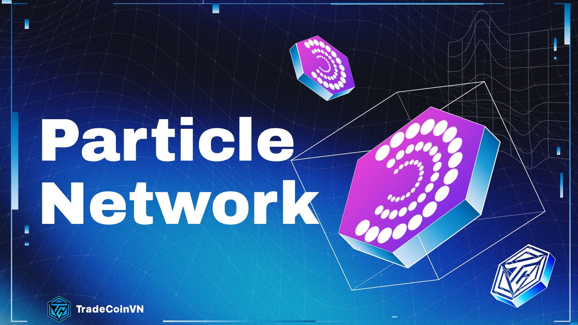 Particle Network (PARTI) là gì? Layer-1 ứng dụng Chain Abstraction được Binance Labs hậu thuẫn