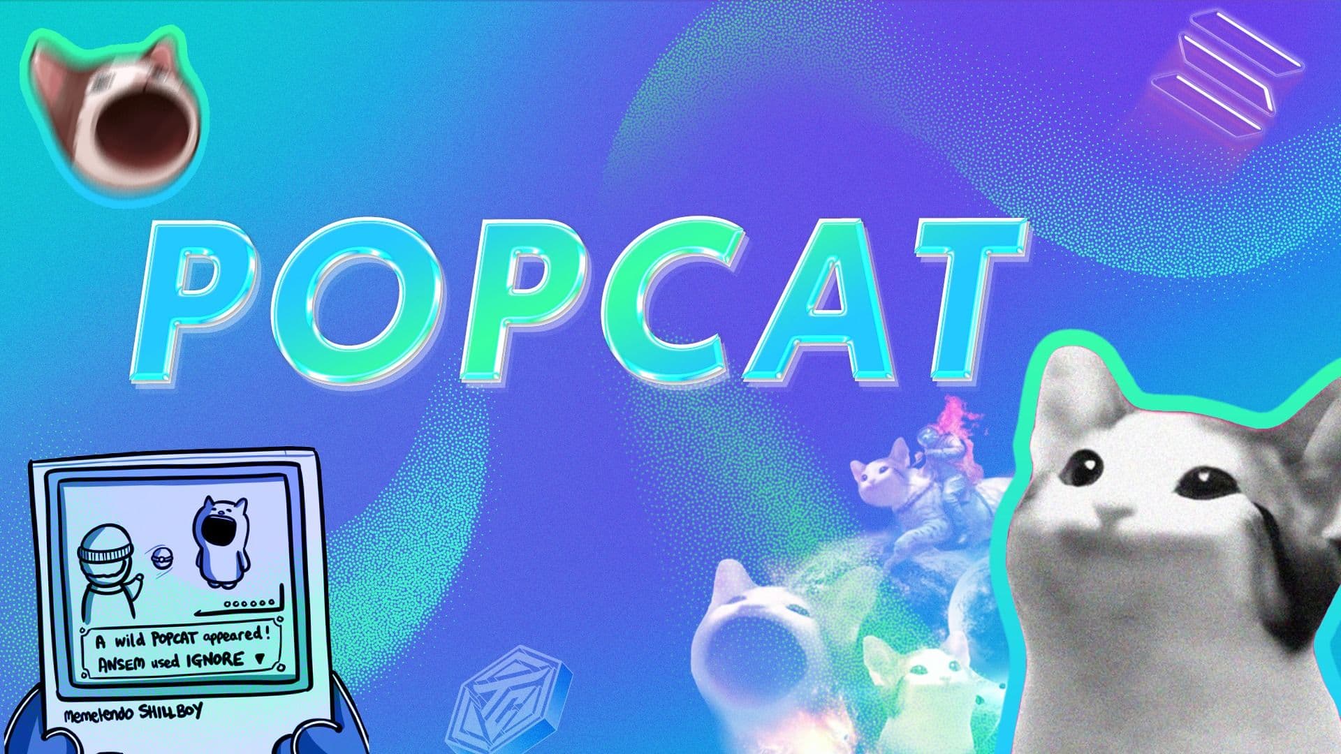 Popcat (POPCAT) là gì? Memecoin hệ mèo đầu tiên đạt vốn hoá 1 tỷ USD trên layer 1 Solana