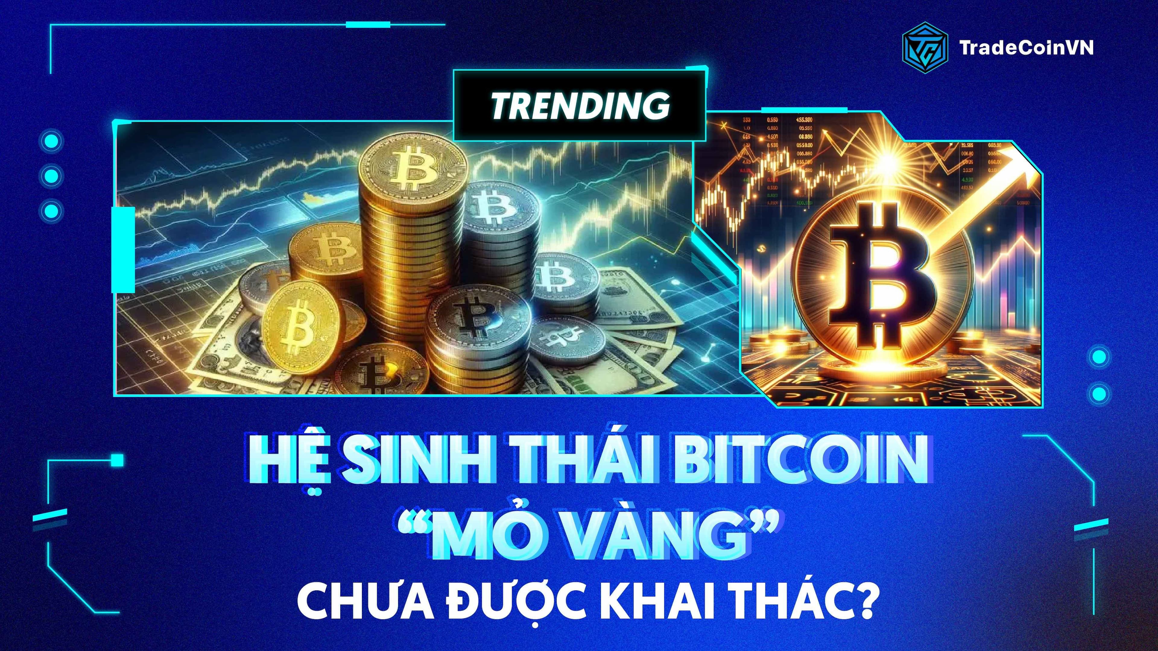 Khám phá hệ sinh thái Bitcoin từ A-Z, “mỏ vàng” chưa được khai thác?