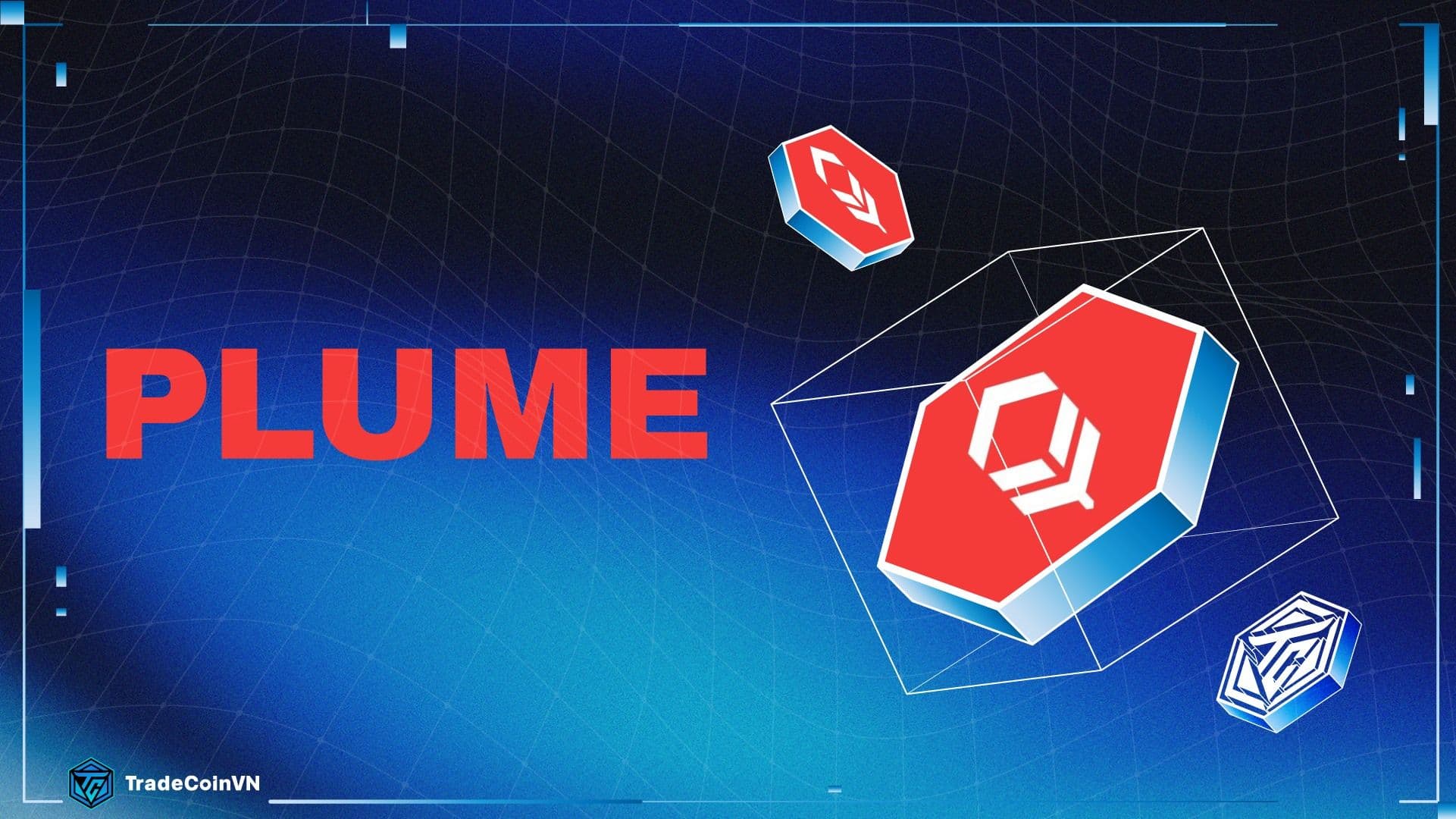 Plume Network là gì? Modular Blockchain đầu tiên dành riêng cho RWA