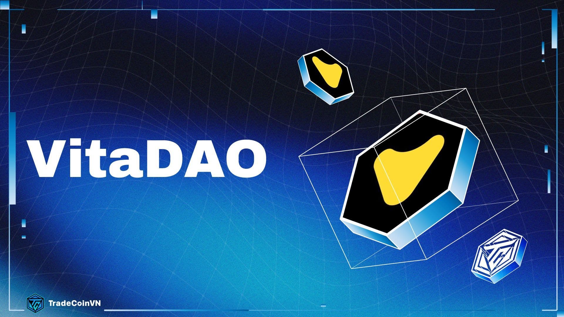 VitaDAO (VITA) là gì? Dự án DeSci hàng đầu về nghiên cứu kéo dài tuổi thọ